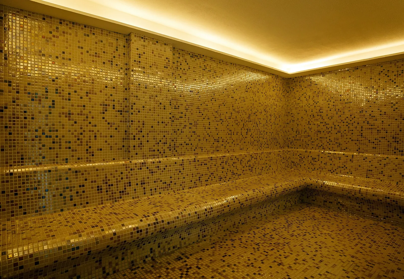 SPA and wellness — Abelia Residence