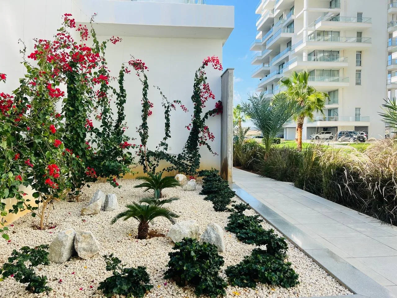 Студия в Abelia Residence — фотография 6