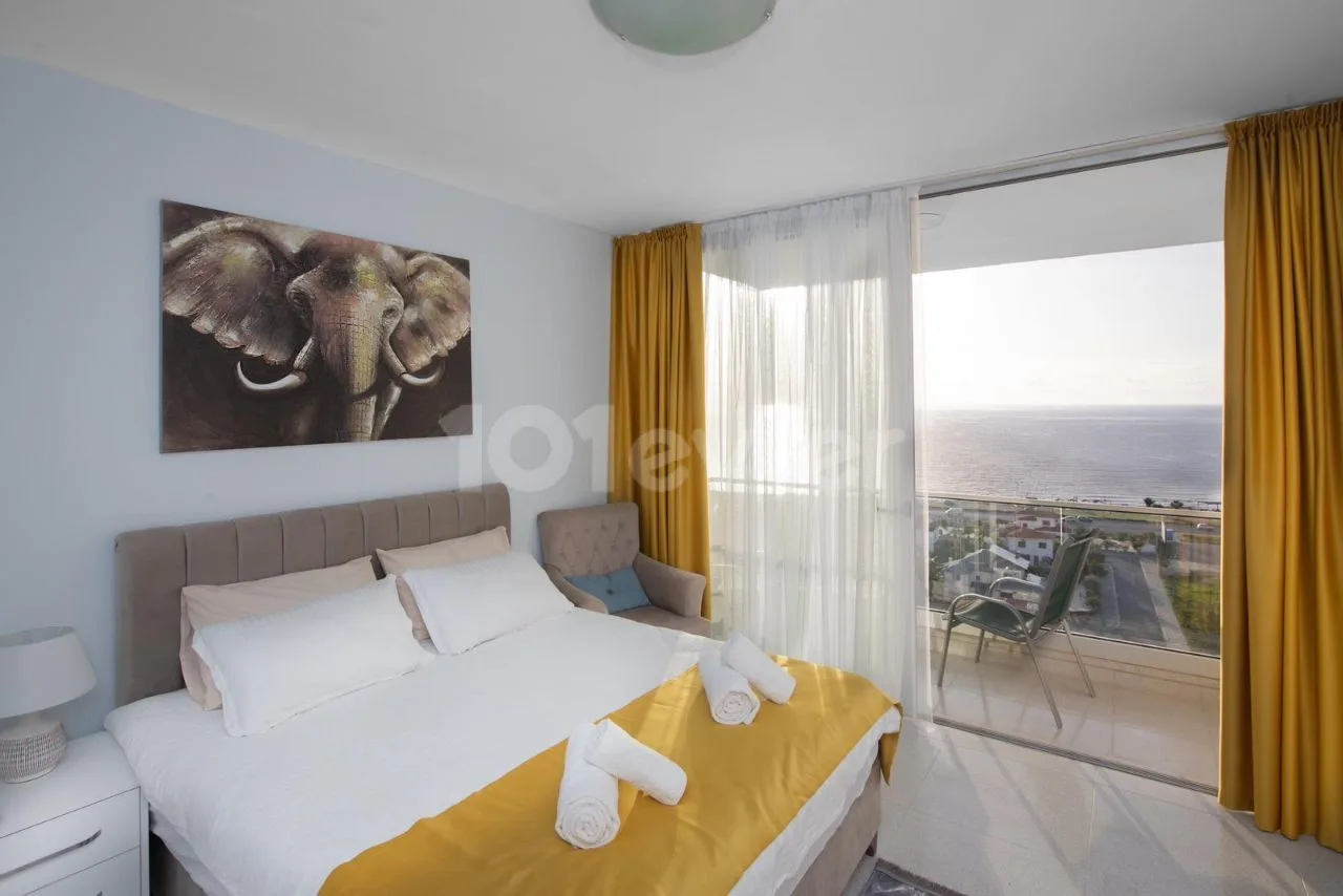 Interior photograph of the Abelia Residence studio, view 7