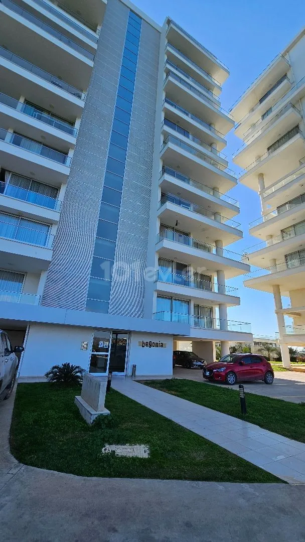 Abelia Residence rental listing 508714, photo 13